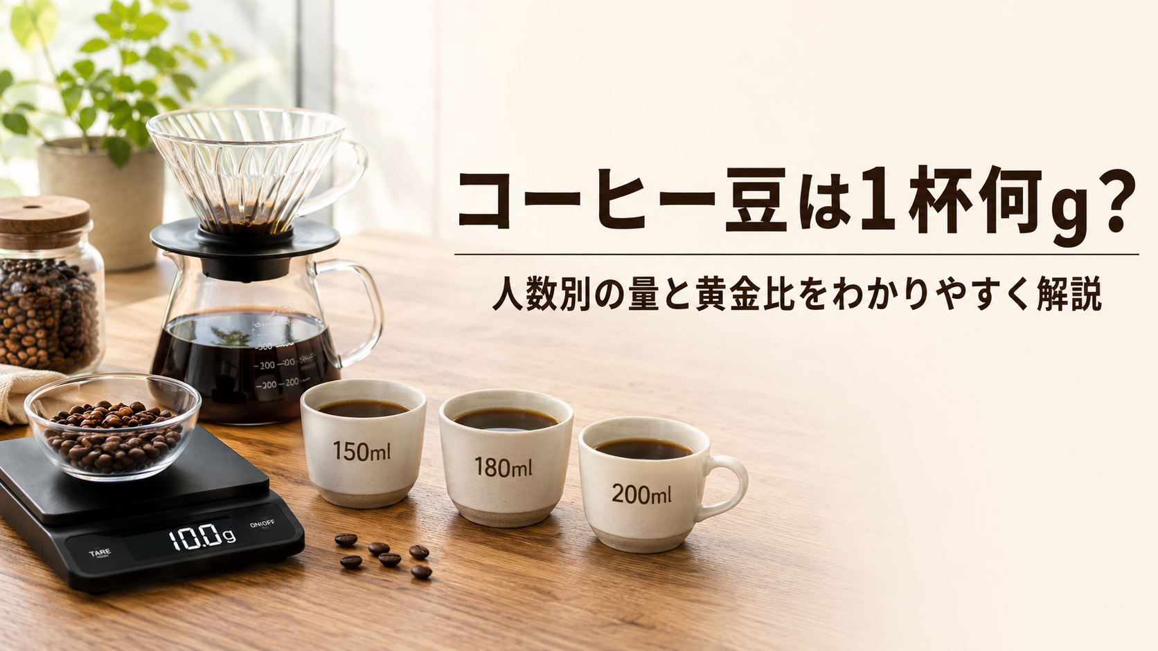 コーヒー 1 杯 豆 の 量